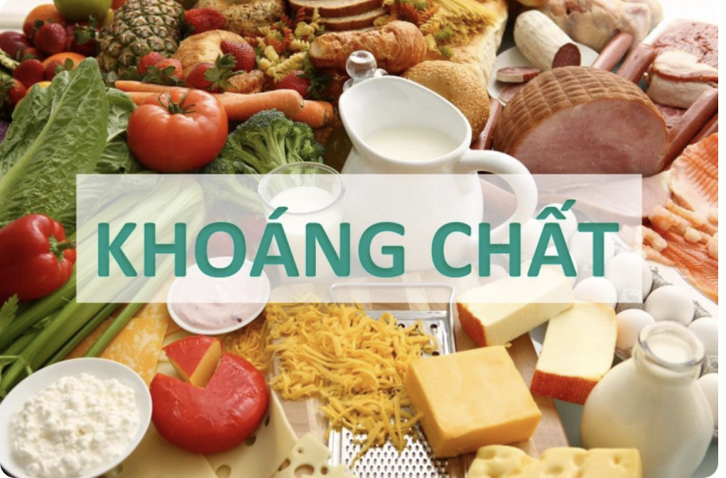 Tầm quan trọng của khoáng chất trong nước